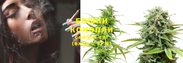 PSILOCYBIN Новодвинск