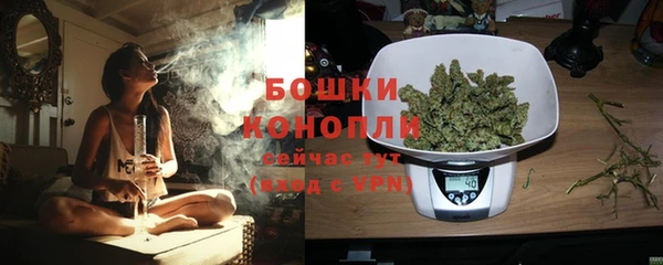 PSILOCYBIN Новодвинск