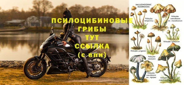 синтетический гашиш Нефтегорск
