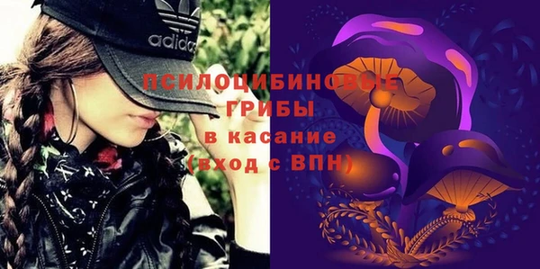 PSILOCYBIN Новодвинск