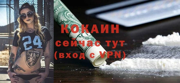 PSILOCYBIN Новодвинск