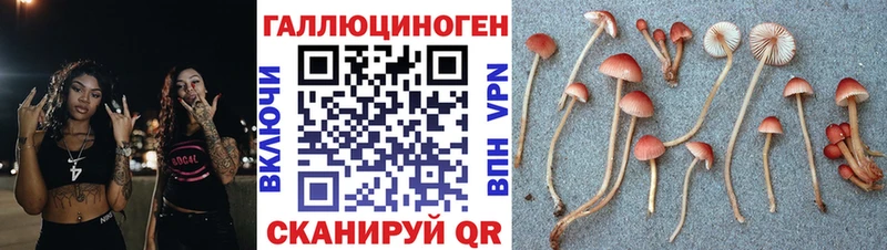 Псилоцибиновые грибы Magic Shrooms  OMG ССЫЛКА  Лермонтов 